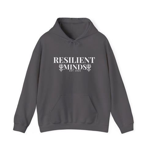 Unisex Heavy Blend™ Hooded Sweatshirt - If you won't Who Will